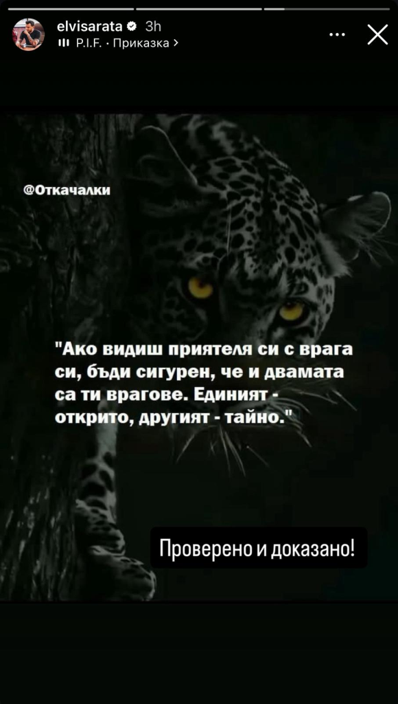 Всички срещу Мартин Елвиса