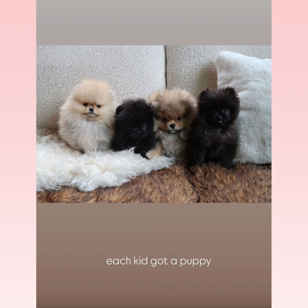 Ким Кардашиян облече дизайнерско кожено палто за 7500 долара в Аспен след скандала с PETA